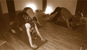 hatha vinyasa yoga para principiantes